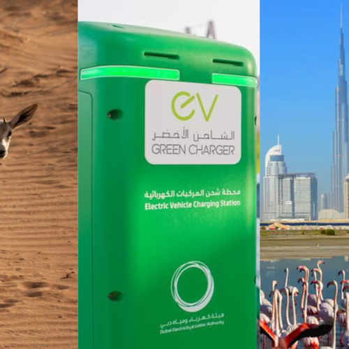 sustainable tourism in UAE