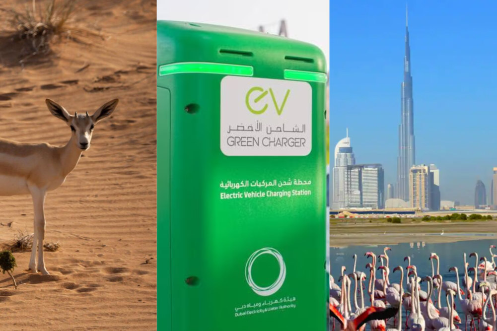 sustainable tourism in UAE