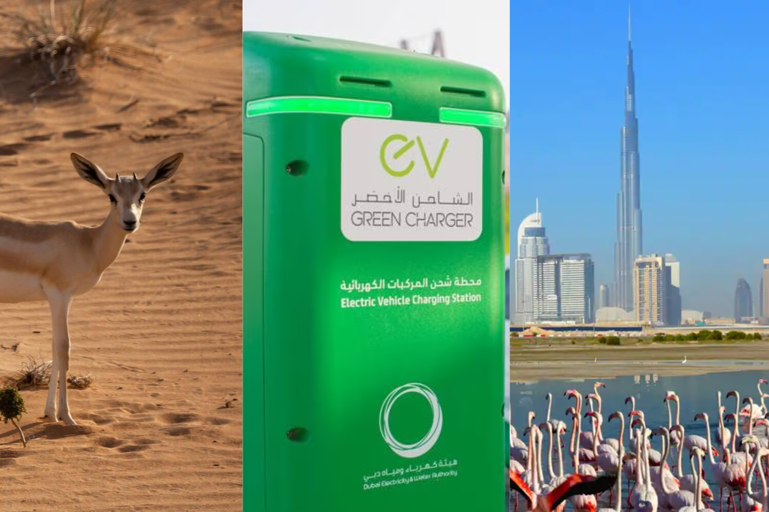 sustainable tourism uae