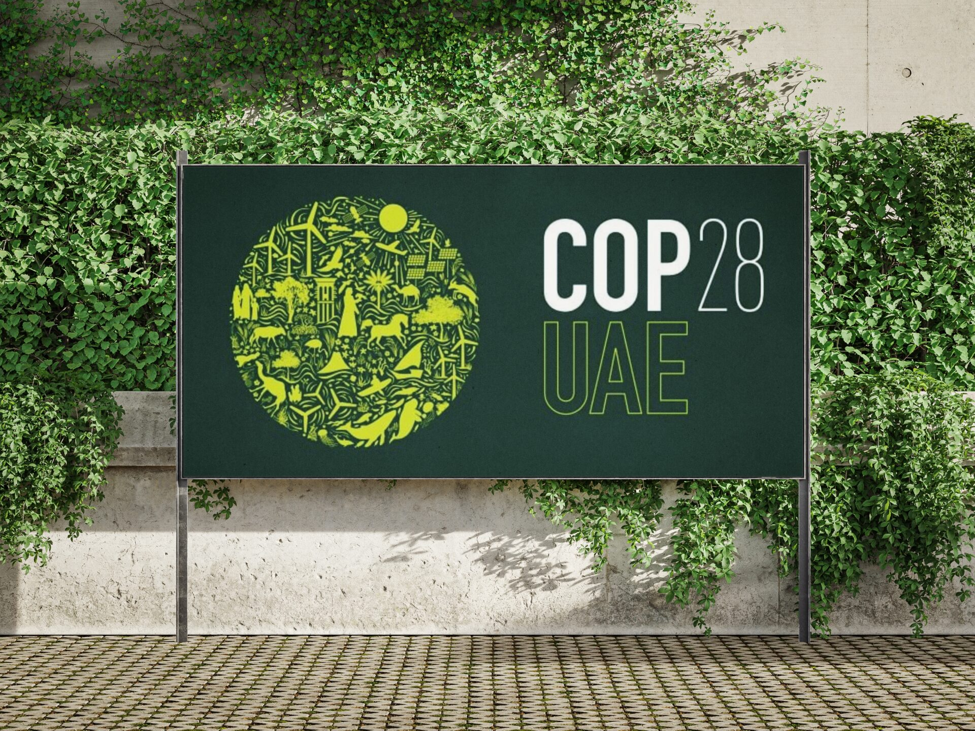 COP28