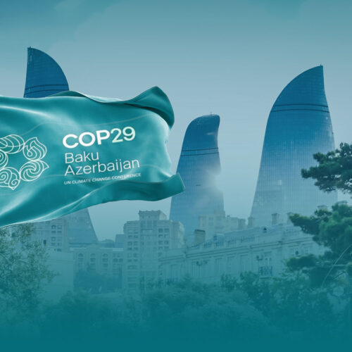 COP29