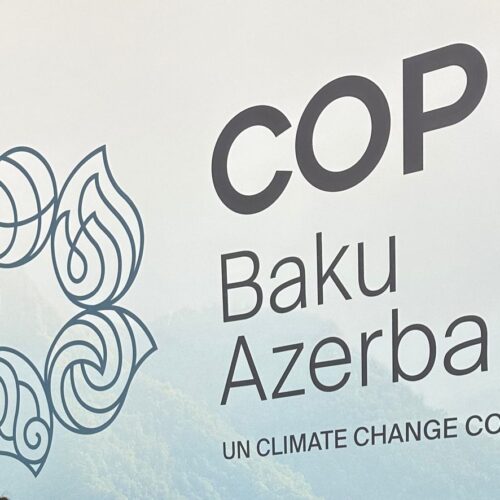 COP29